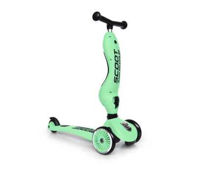 Patinete 2 en 1 Scoot and Ride