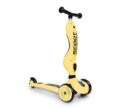 Patinete 2 en 1 Scoot and Ride