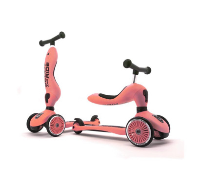 Patinete 2 en 1 Scoot and Ride