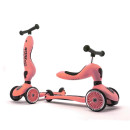 Patinete 2 en 1 Scoot and Ride