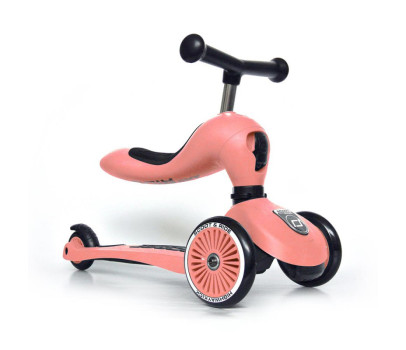 Patinete 2 en 1 Scoot and Ride