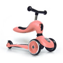 Patinete 2 en 1 Scoot and Ride