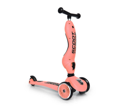 Patinete 2 en 1 Scoot and Ride