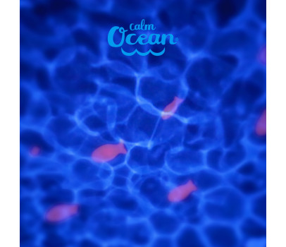 Pabobo Calm Ocean Proyector